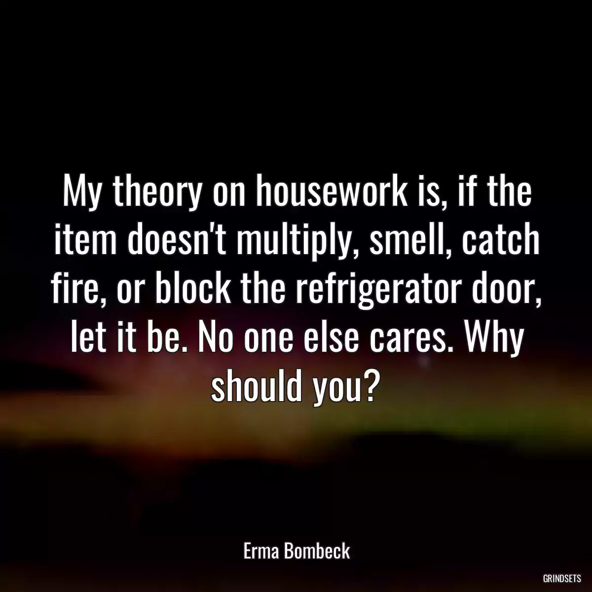 My theory on housework is, if the item doesn\'t multiply, smell, catch fire, or block the refrigerator door, let it be. No one else cares. Why should you?