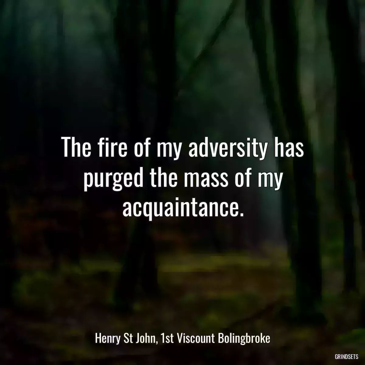 The fire of my adversity has purged the mass of my acquaintance.