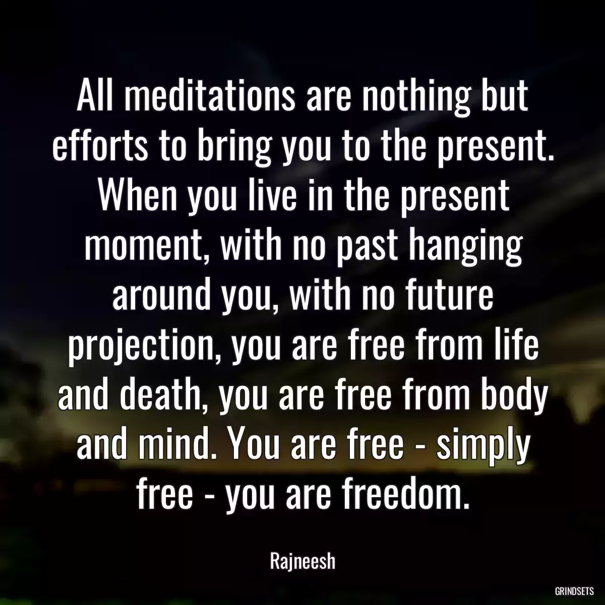 All meditations are nothing but efforts to bring you to the present. When you live in the present moment, with no past hanging around you, with no future projection, you are free from life and death, you are free from body and mind. You are free - simply free - you are freedom.