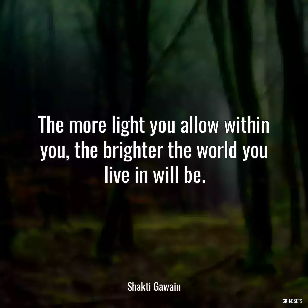 The more light you allow within you, the brighter the world you live in will be.