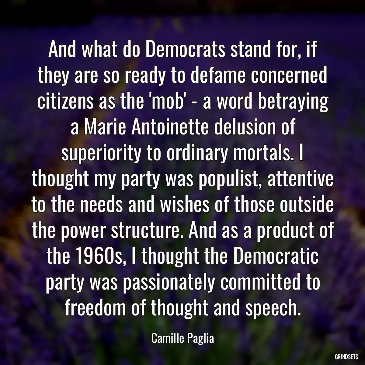 And what do Democrats stand for, if they are so ready to defame concerned citizens as the \'mob\' - a word betraying a Marie Antoinette delusion of superiority to ordinary mortals. I thought my party was populist, attentive to the needs and wishes of those outside the power structure. And as a product of the 1960s, I thought the Democratic party was passionately committed to freedom of thought and speech.