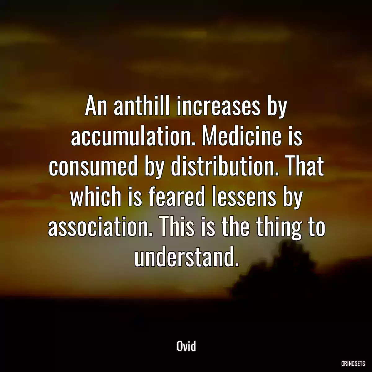 An anthill increases by accumulation. Medicine is consumed by distribution. That which is feared lessens by association. This is the thing to understand.