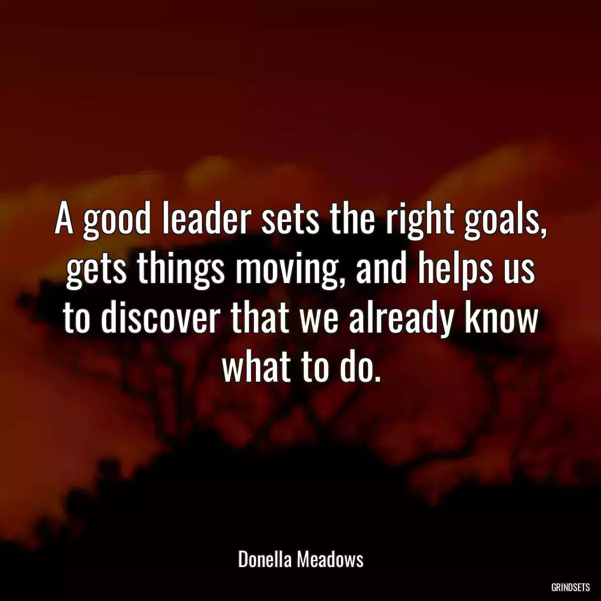 A good leader sets the right goals, gets things moving, and helps us to discover that we already know what to do.