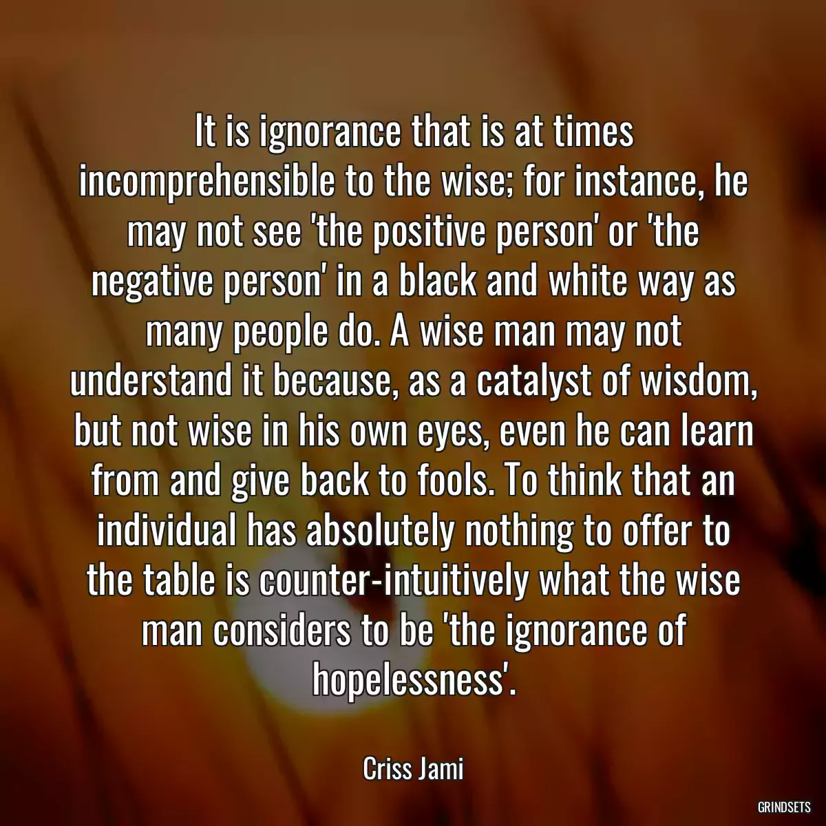 It is ignorance that is at times incomprehensible to the wise; for instance, he may not see \'the positive person\' or \'the negative person\' in a black and white way as many people do. A wise man may not understand it because, as a catalyst of wisdom, but not wise in his own eyes, even he can learn from and give back to fools. To think that an individual has absolutely nothing to offer to the table is counter-intuitively what the wise man considers to be \'the ignorance of hopelessness\'.