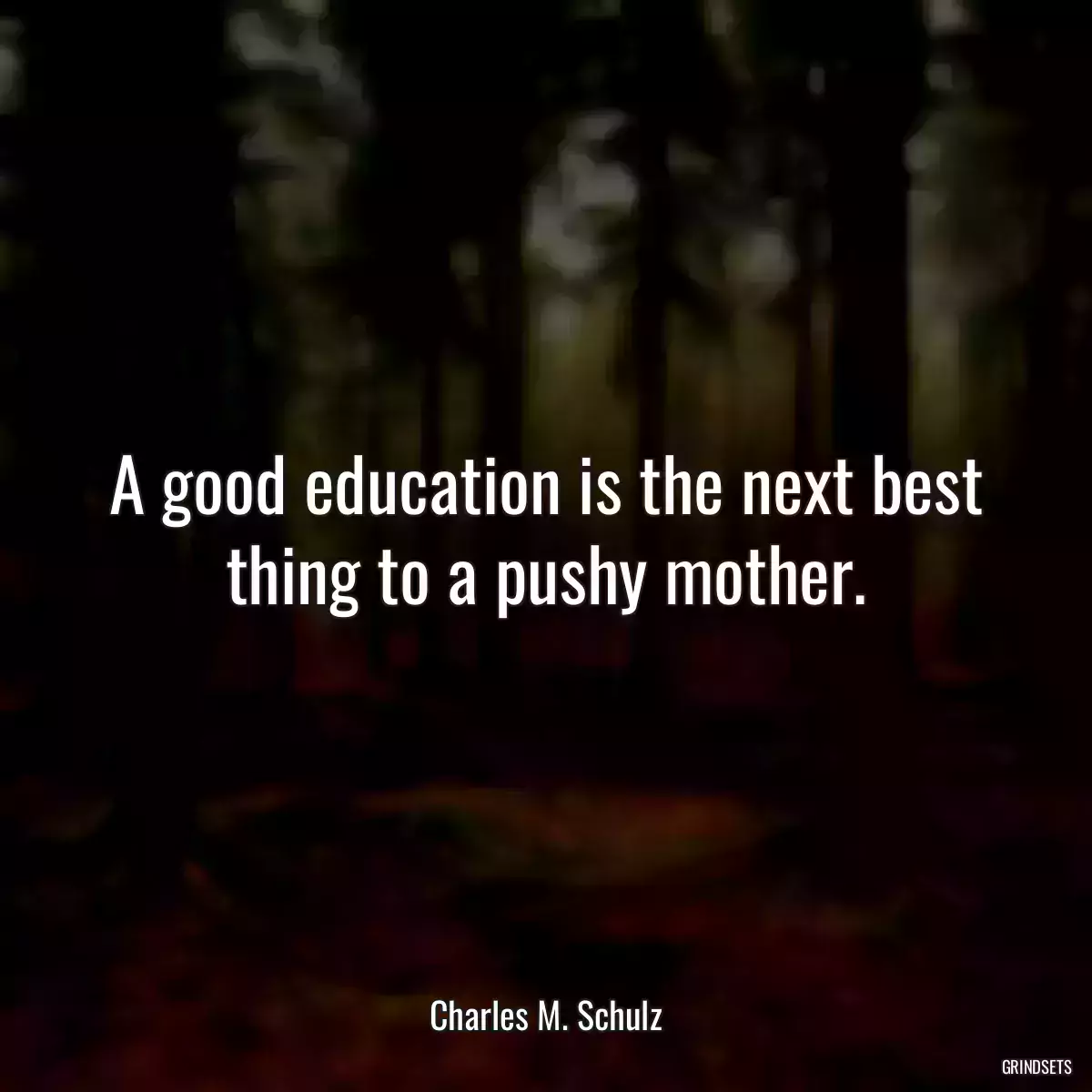 A good education is the next best thing to a pushy mother.