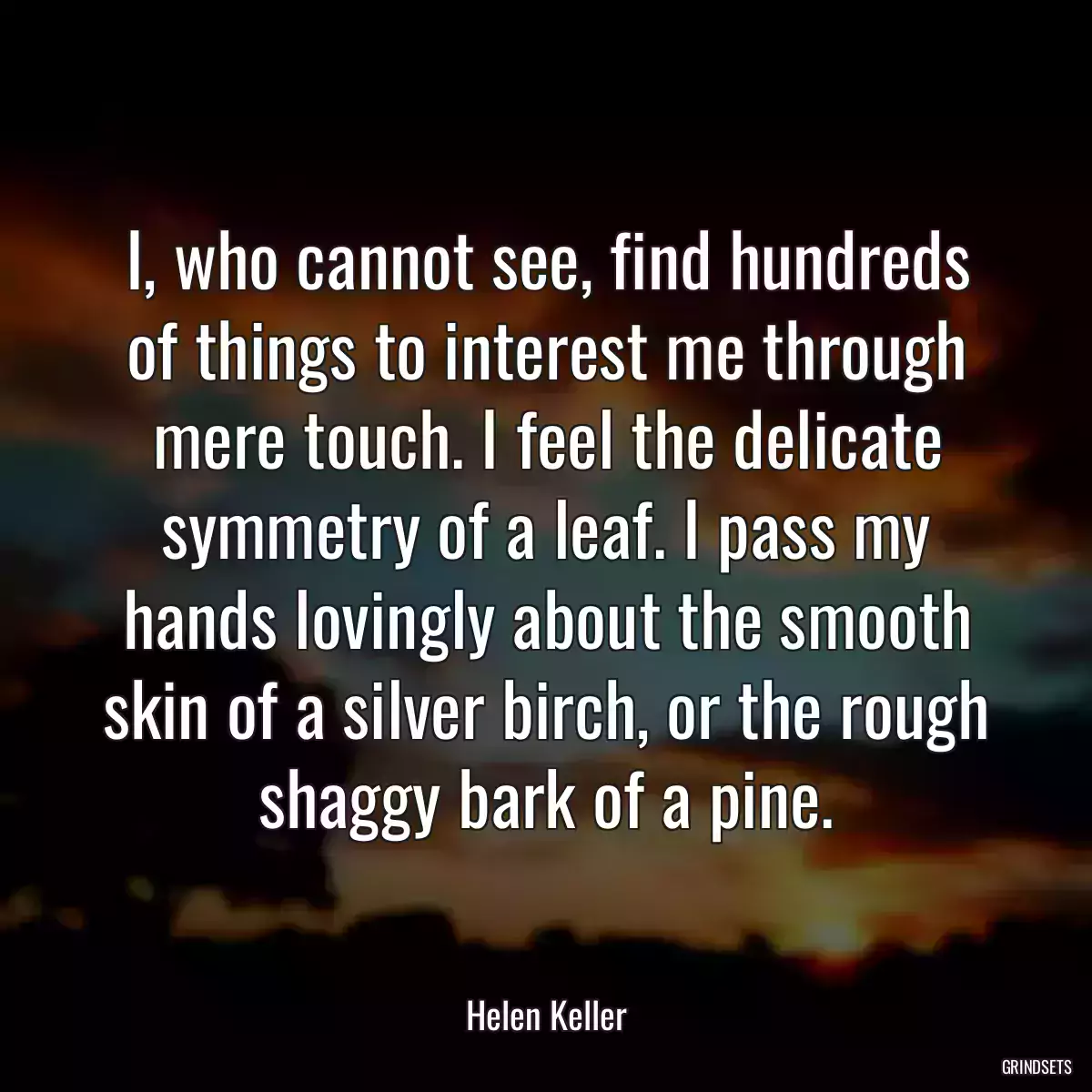 I, who cannot see, find hundreds of things to interest me through mere touch. I feel the delicate symmetry of a leaf. I pass my hands lovingly about the smooth skin of a silver birch, or the rough shaggy bark of a pine.