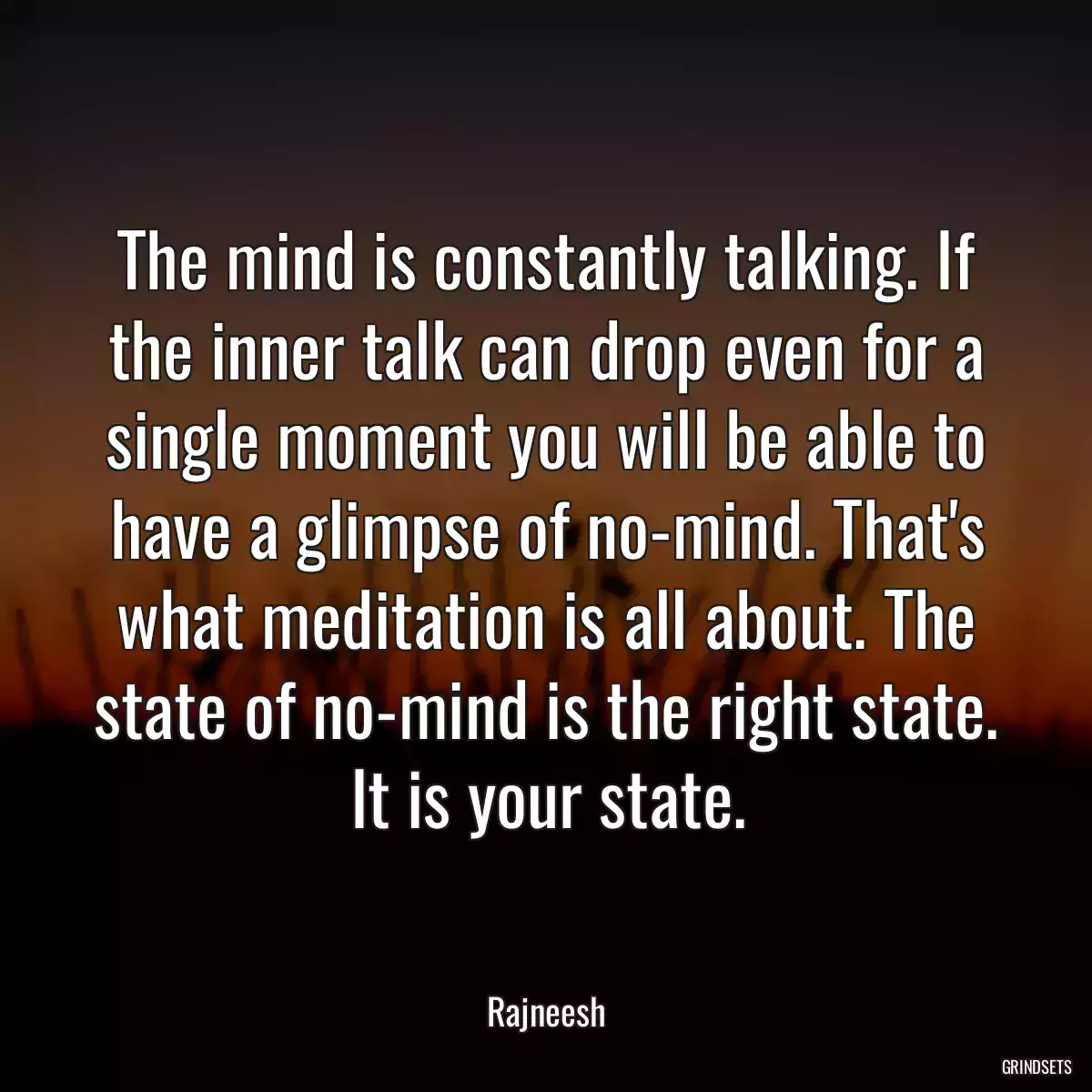 The mind is constantly talking. If the inner talk can drop even for a single moment you will be able to have a glimpse of no-mind. That\'s what meditation is all about. The state of no-mind is the right state. It is your state.