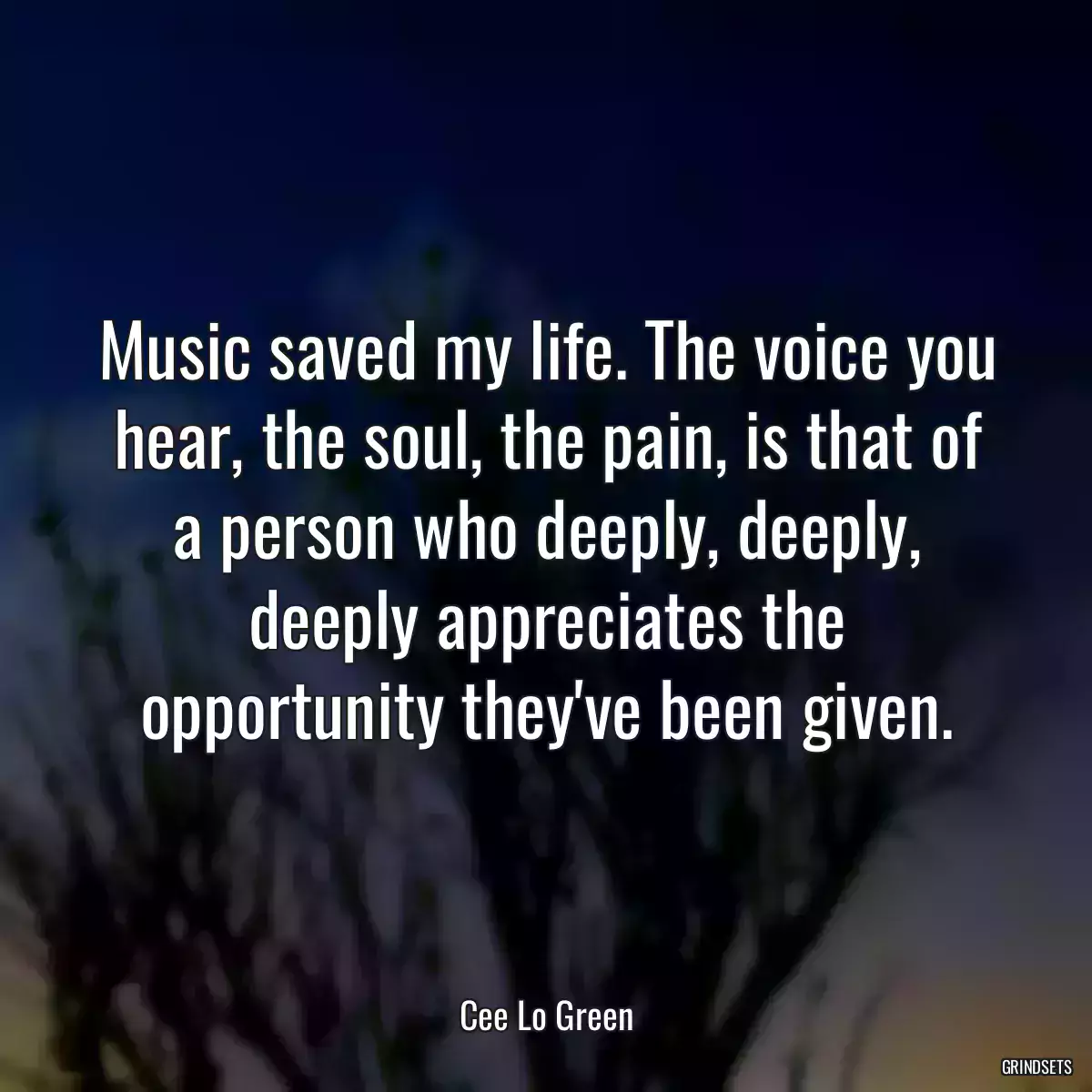 Music saved my life. The voice you hear, the soul, the pain, is that of a person who deeply, deeply, deeply appreciates the opportunity they\'ve been given.