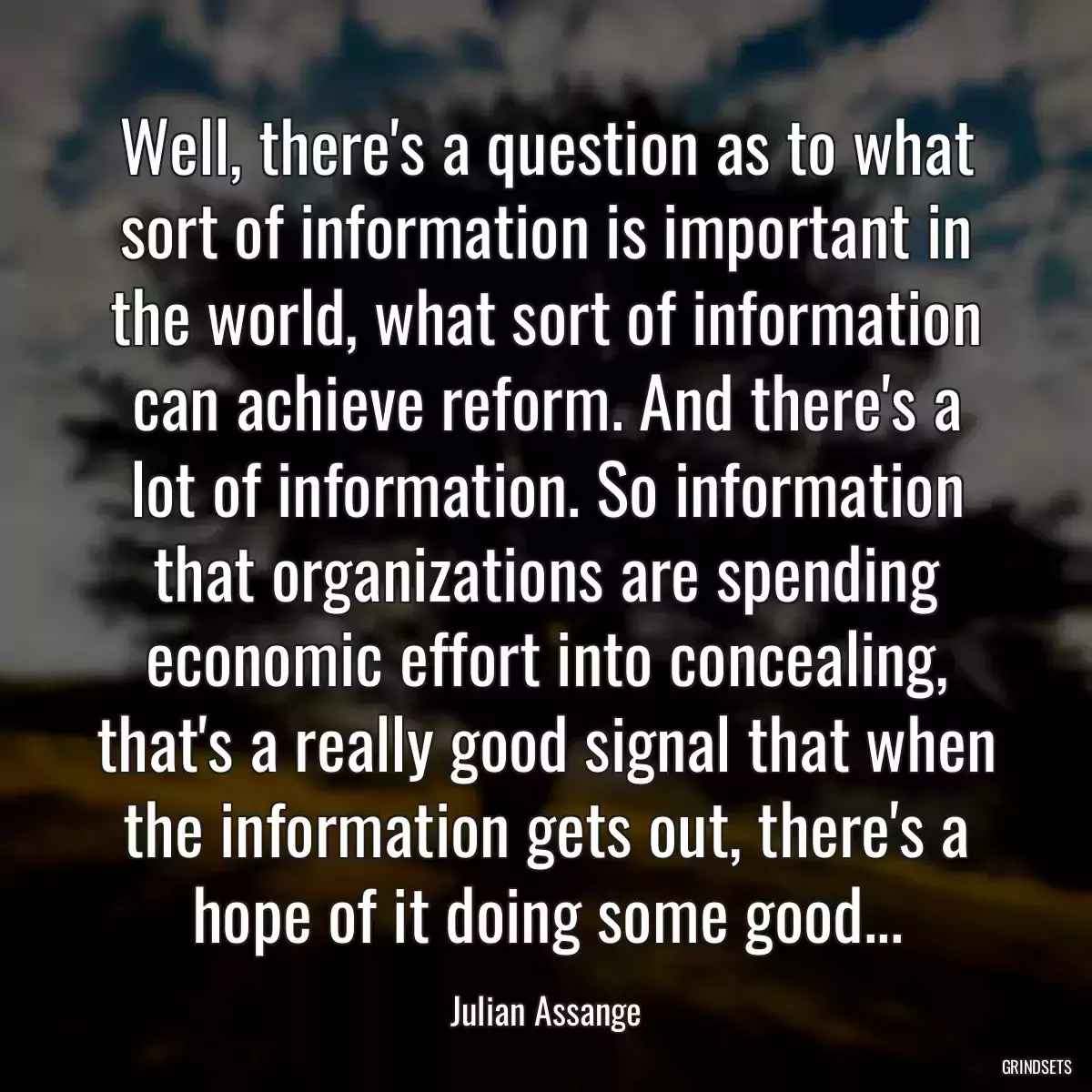 Well, there\'s a question as to what sort of information is important in the world, what sort of information can achieve reform. And there\'s a lot of information. So information that organizations are spending economic effort into concealing, that\'s a really good signal that when the information gets out, there\'s a hope of it doing some good...