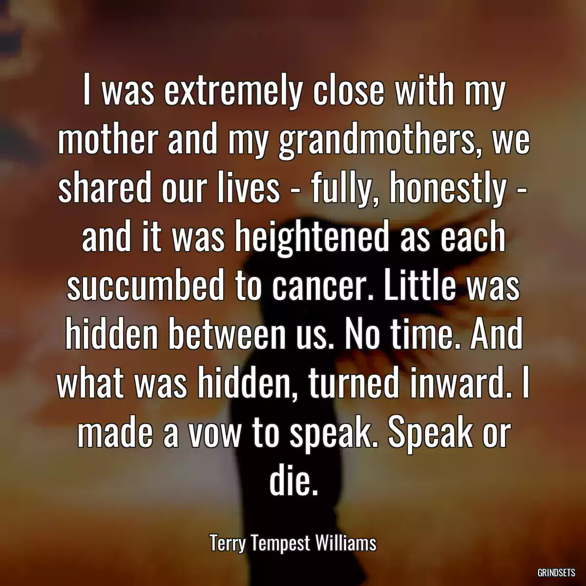 I was extremely close with my mother and my grandmothers, we shared our lives - fully, honestly - and it was heightened as each succumbed to cancer. Little was hidden between us. No time. And what was hidden, turned inward. I made a vow to speak. Speak or die.