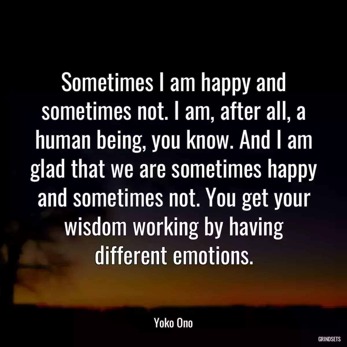 Sometimes I am happy and sometimes not. I am, after all, a human being, you know. And I am glad that we are sometimes happy and sometimes not. You get your wisdom working by having different emotions.