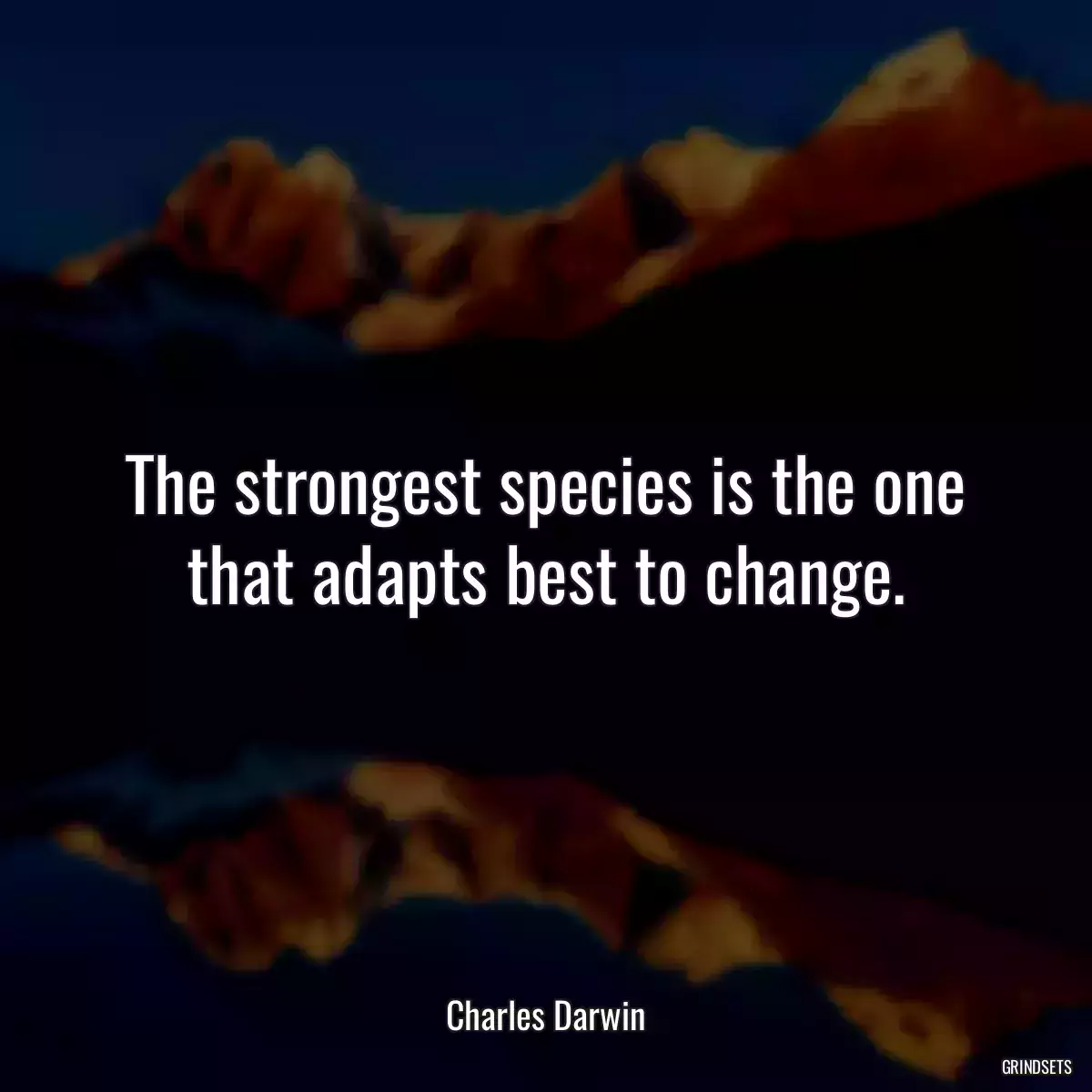 The strongest species is the one that adapts best to change.