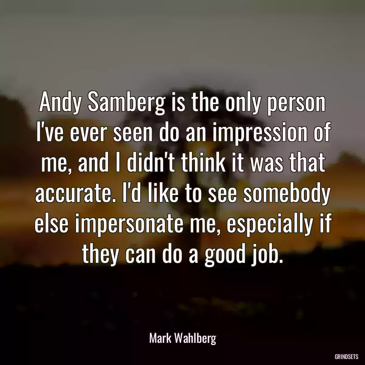 Andy Samberg is the only person I\'ve ever seen do an impression of me, and I didn\'t think it was that accurate. I\'d like to see somebody else impersonate me, especially if they can do a good job.