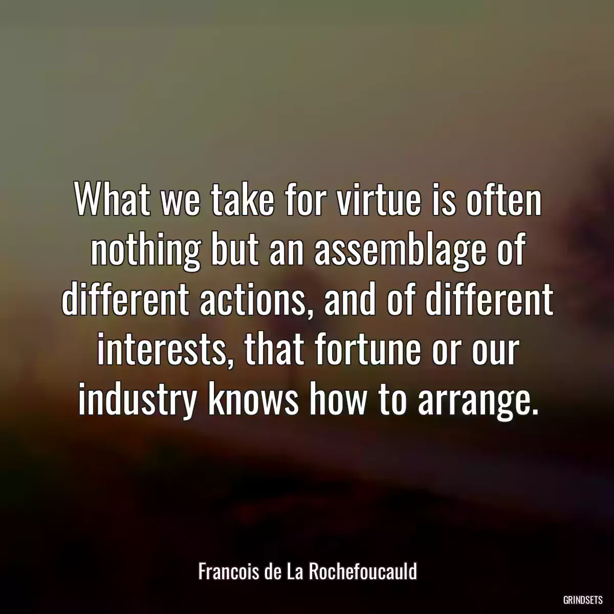 What we take for virtue is often nothing but an assemblage of different actions, and of different interests, that fortune or our industry knows how to arrange.