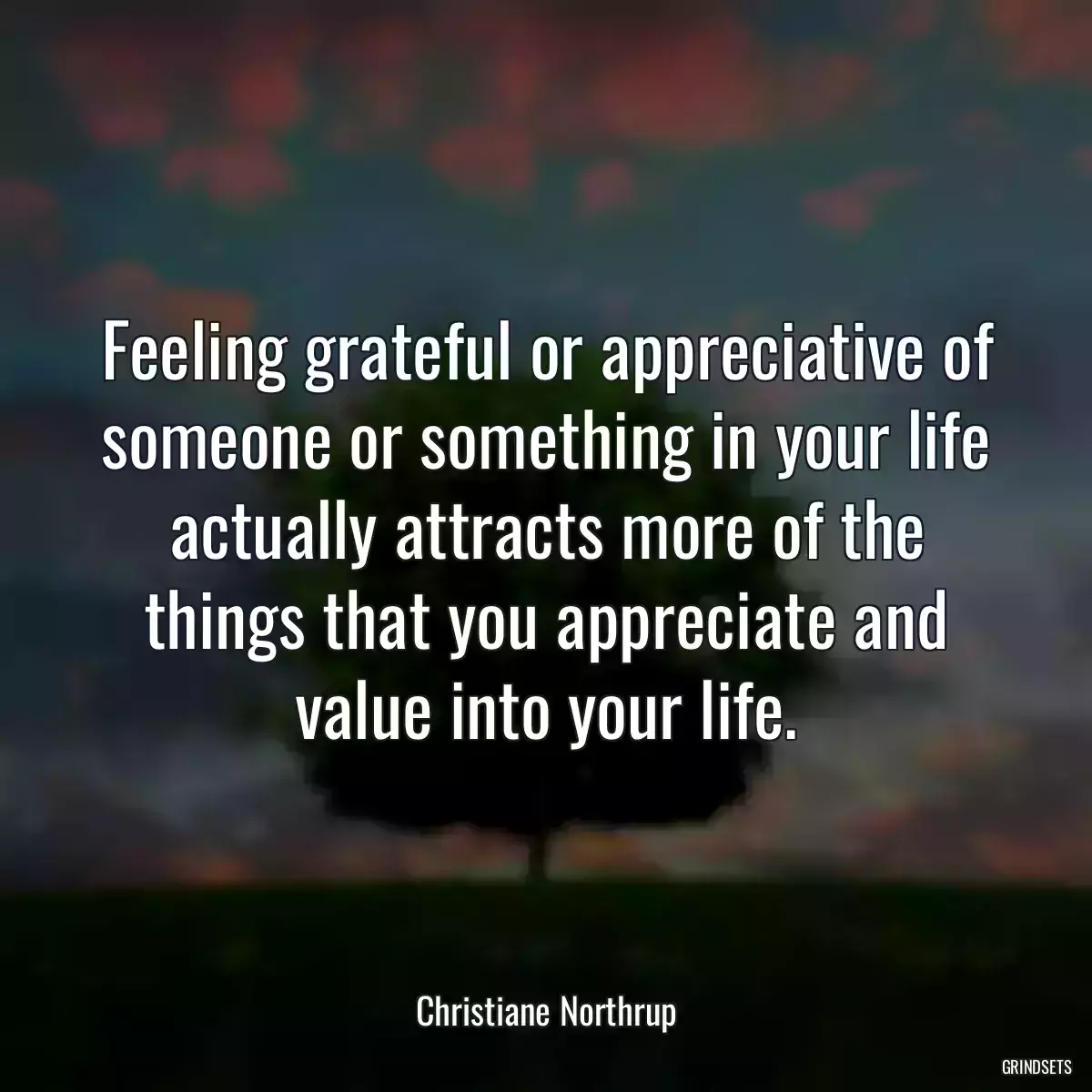 Feeling grateful or appreciative of someone or something in your life actually attracts more of the things that you appreciate and value into your life.