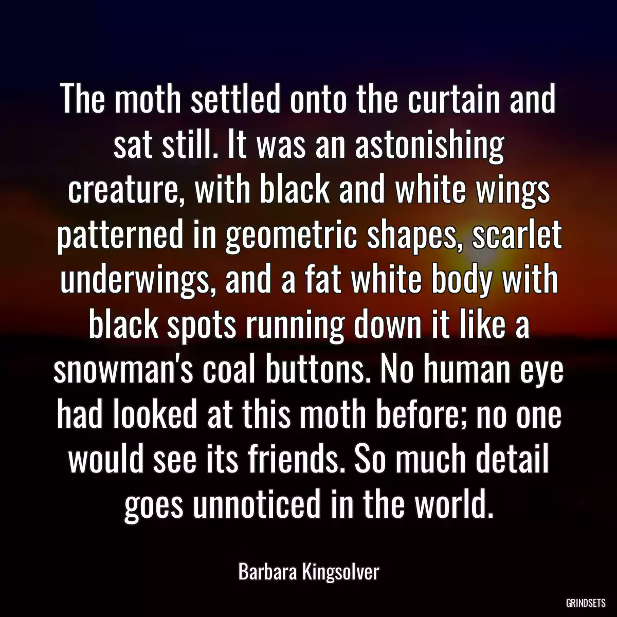 The moth settled onto the curtain and sat still. It was an astonishing creature, with black and white wings patterned in geometric shapes, scarlet underwings, and a fat white body with black spots running down it like a snowman\'s coal buttons. No human eye had looked at this moth before; no one would see its friends. So much detail goes unnoticed in the world.