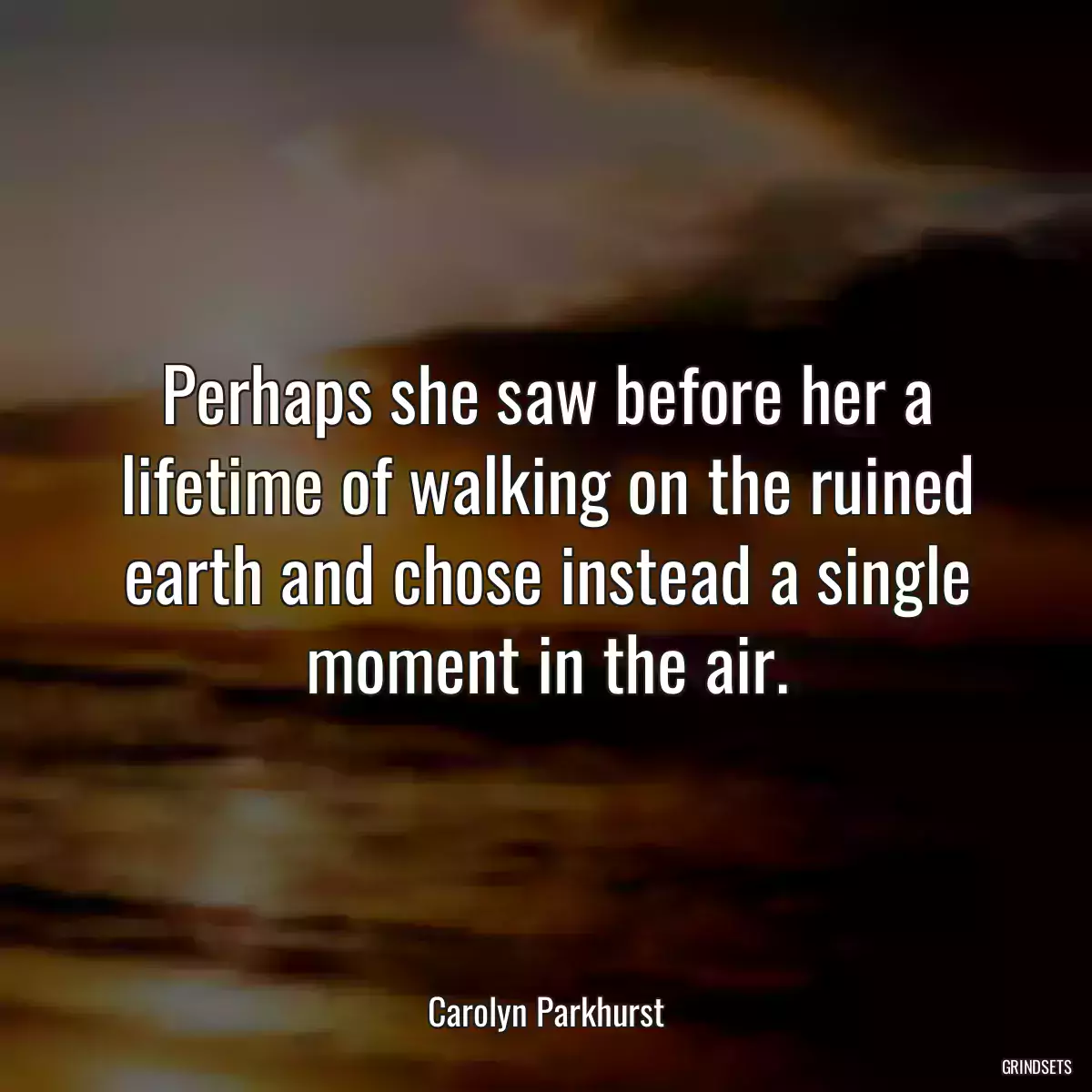 Perhaps she saw before her a lifetime of walking on the ruined earth and chose instead a single moment in the air.