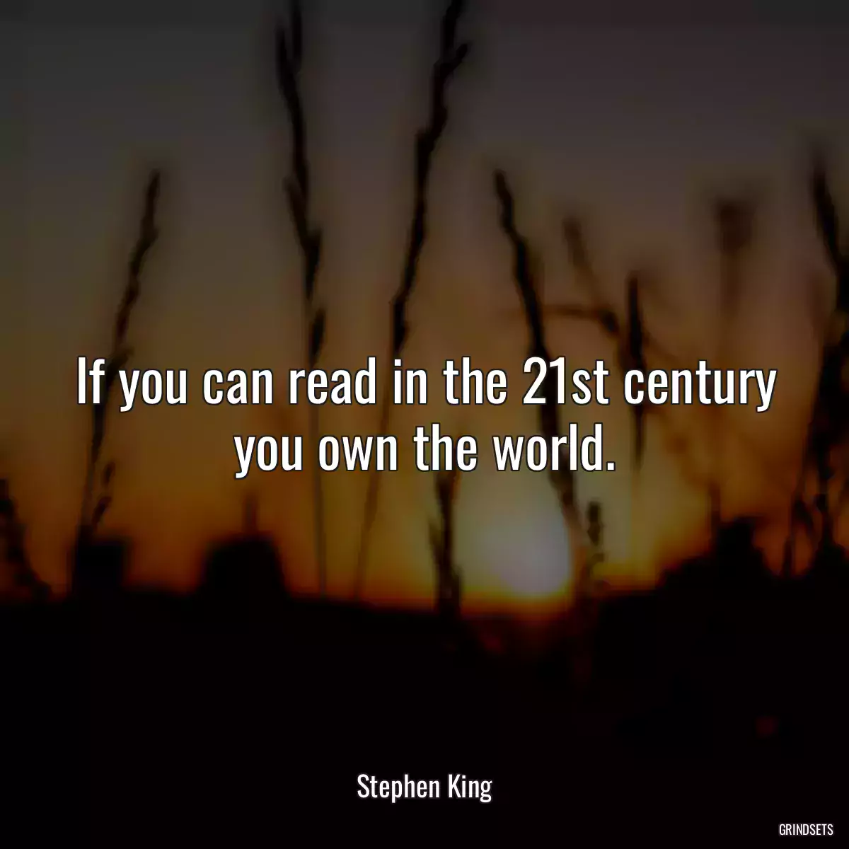 If you can read in the 21st century you own the world.