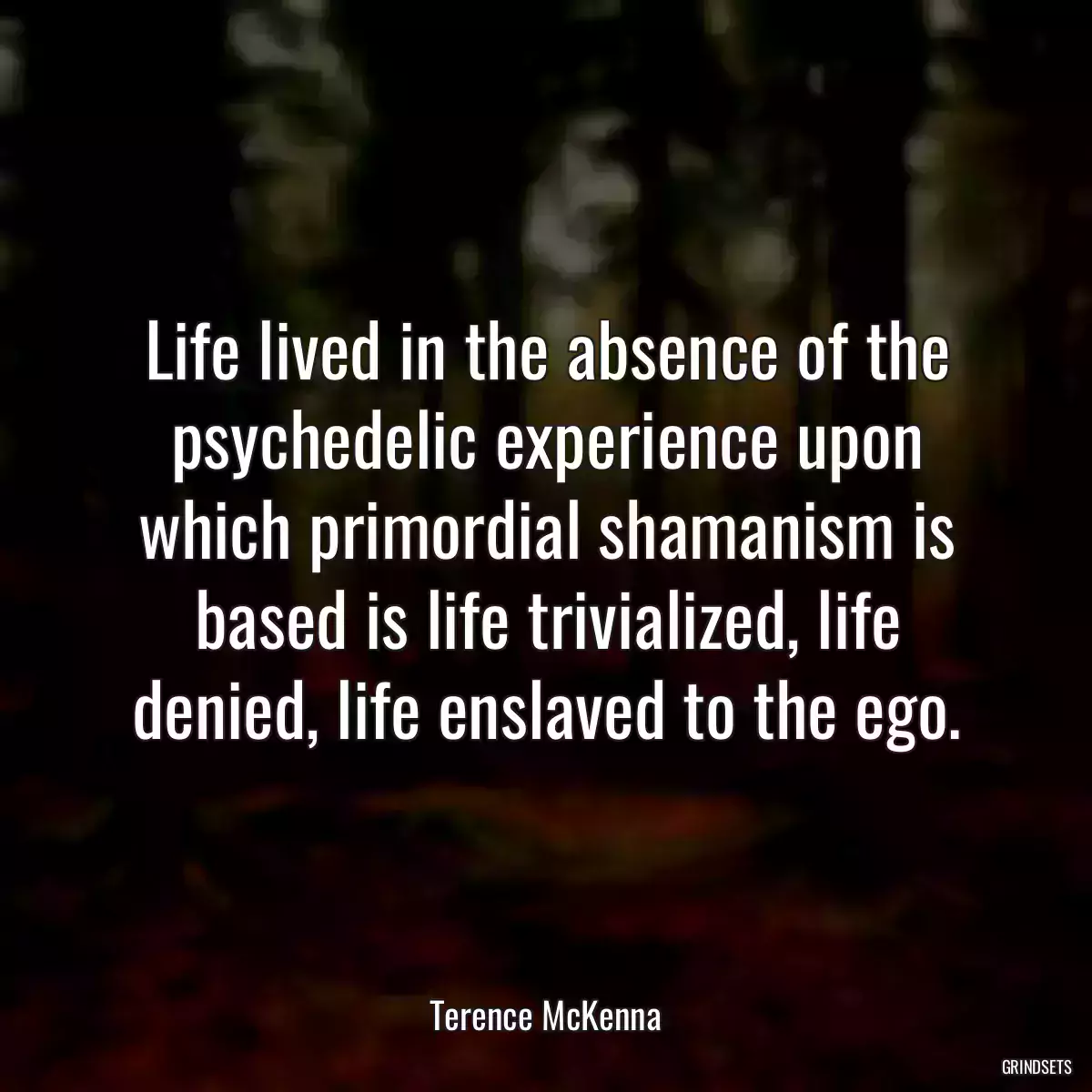 Life lived in the absence of the psychedelic experience upon which primordial shamanism is based is life trivialized, life denied, life enslaved to the ego.