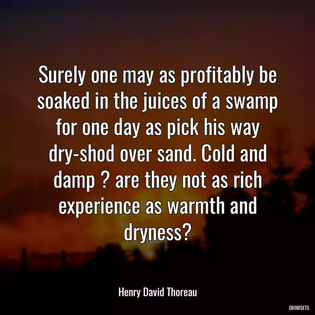 Surely one may as profitably be soaked in the juices of a swamp for one day as pick his way dry-shod over sand. Cold and damp ? are they not as rich experience as warmth and dryness?