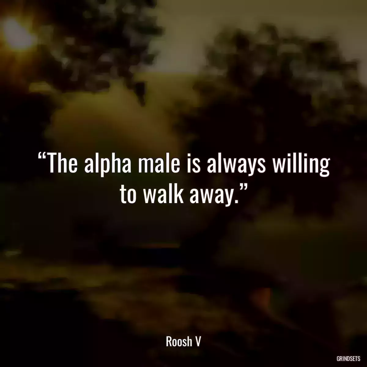 “The alpha male is always willing to walk away.”