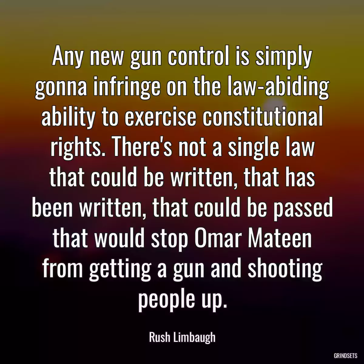 Any new gun control is simply gonna infringe on the law-abiding ability to exercise constitutional rights. There\'s not a single law that could be written, that has been written, that could be passed that would stop Omar Mateen from getting a gun and shooting people up.