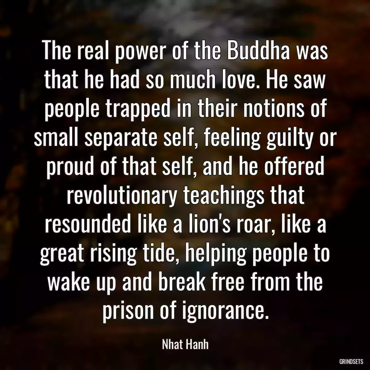 The real power of the Buddha was that he had so much love. He saw people trapped in their notions of small separate self, feeling guilty or proud of that self, and he offered revolutionary teachings that resounded like a lion\'s roar, like a great rising tide, helping people to wake up and break free from the prison of ignorance.