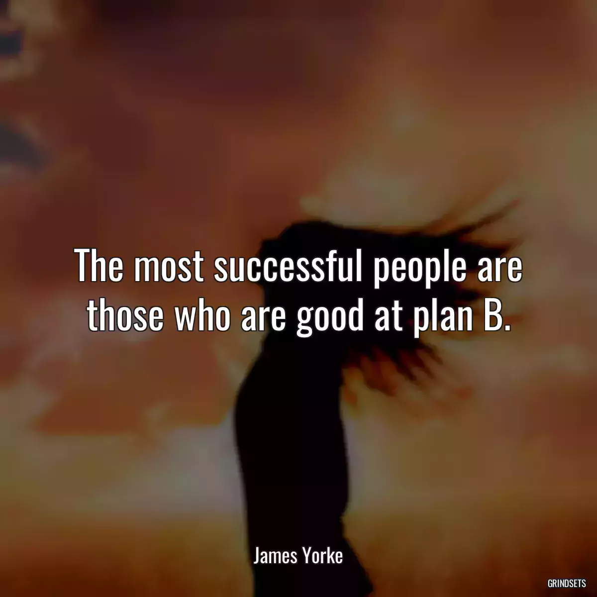 The most successful people are those who are good at plan B.