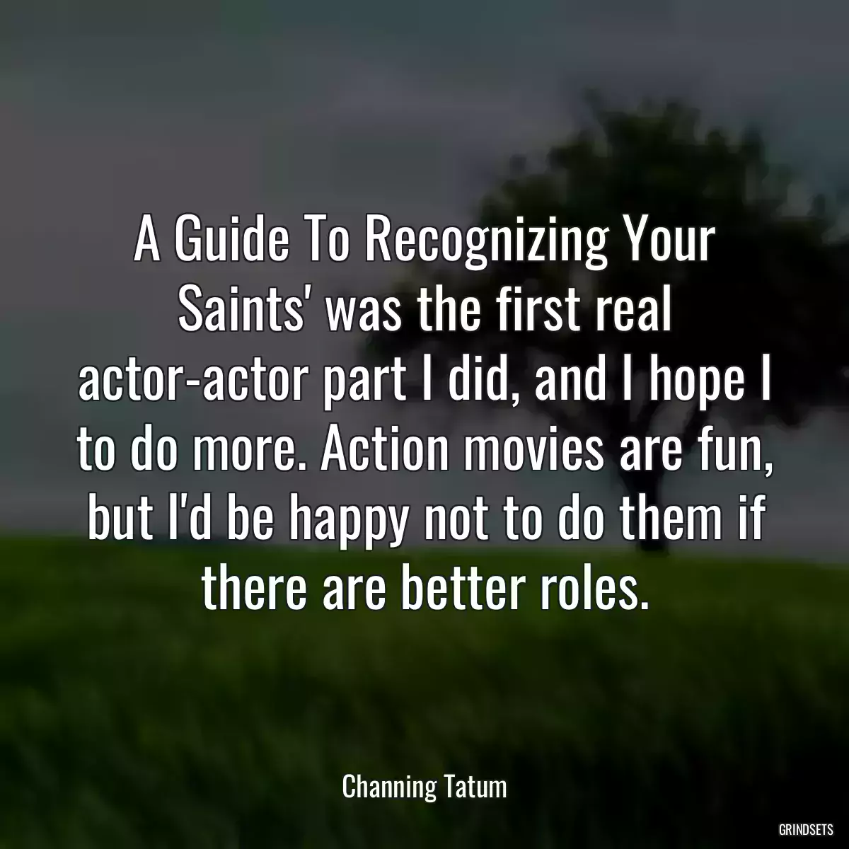 A Guide To Recognizing Your Saints\' was the first real actor-actor part I did, and I hope I to do more. Action movies are fun, but I\'d be happy not to do them if there are better roles.