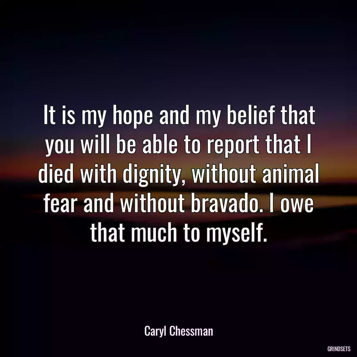 It is my hope and my belief that you will be able to report that I died with dignity, without animal fear and without bravado. I owe that much to myself.