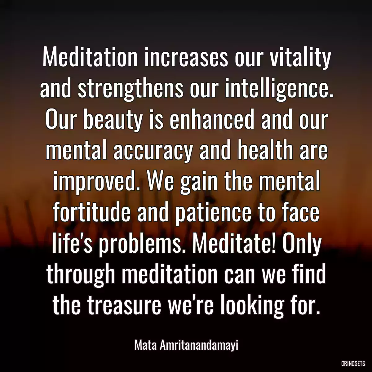 Meditation increases our vitality and strengthens our intelligence. Our beauty is enhanced and our mental accuracy and health are improved. We gain the mental fortitude and patience to face life\'s problems. Meditate! Only through meditation can we find the treasure we\'re looking for.