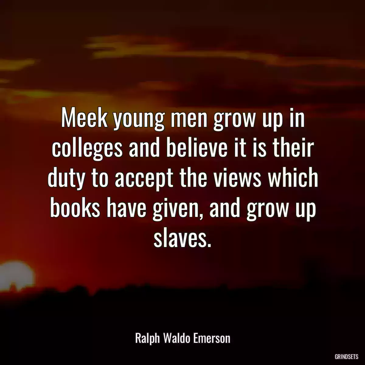 Meek young men grow up in colleges and believe it is their duty to accept the views which books have given, and grow up slaves.