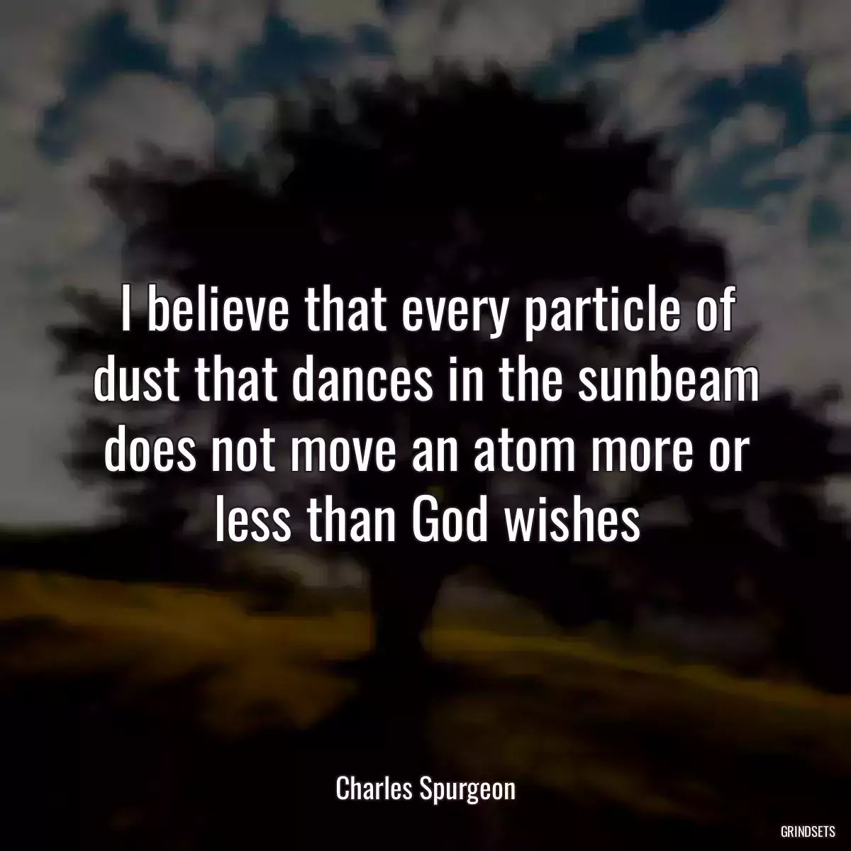 I believe that every particle of dust that dances in the sunbeam does not move an atom more or less than God wishes