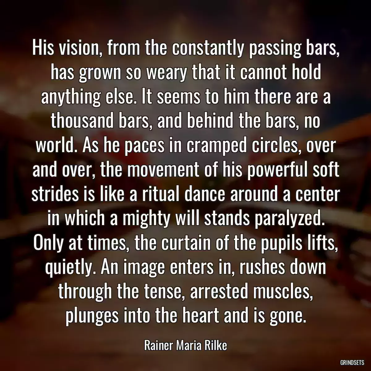 His vision, from the constantly passing bars, has grown so weary that it cannot hold anything else. It seems to him there are a thousand bars, and behind the bars, no world. As he paces in cramped circles, over and over, the movement of his powerful soft strides is like a ritual dance around a center in which a mighty will stands paralyzed. Only at times, the curtain of the pupils lifts, quietly. An image enters in, rushes down through the tense, arrested muscles, plunges into the heart and is gone.