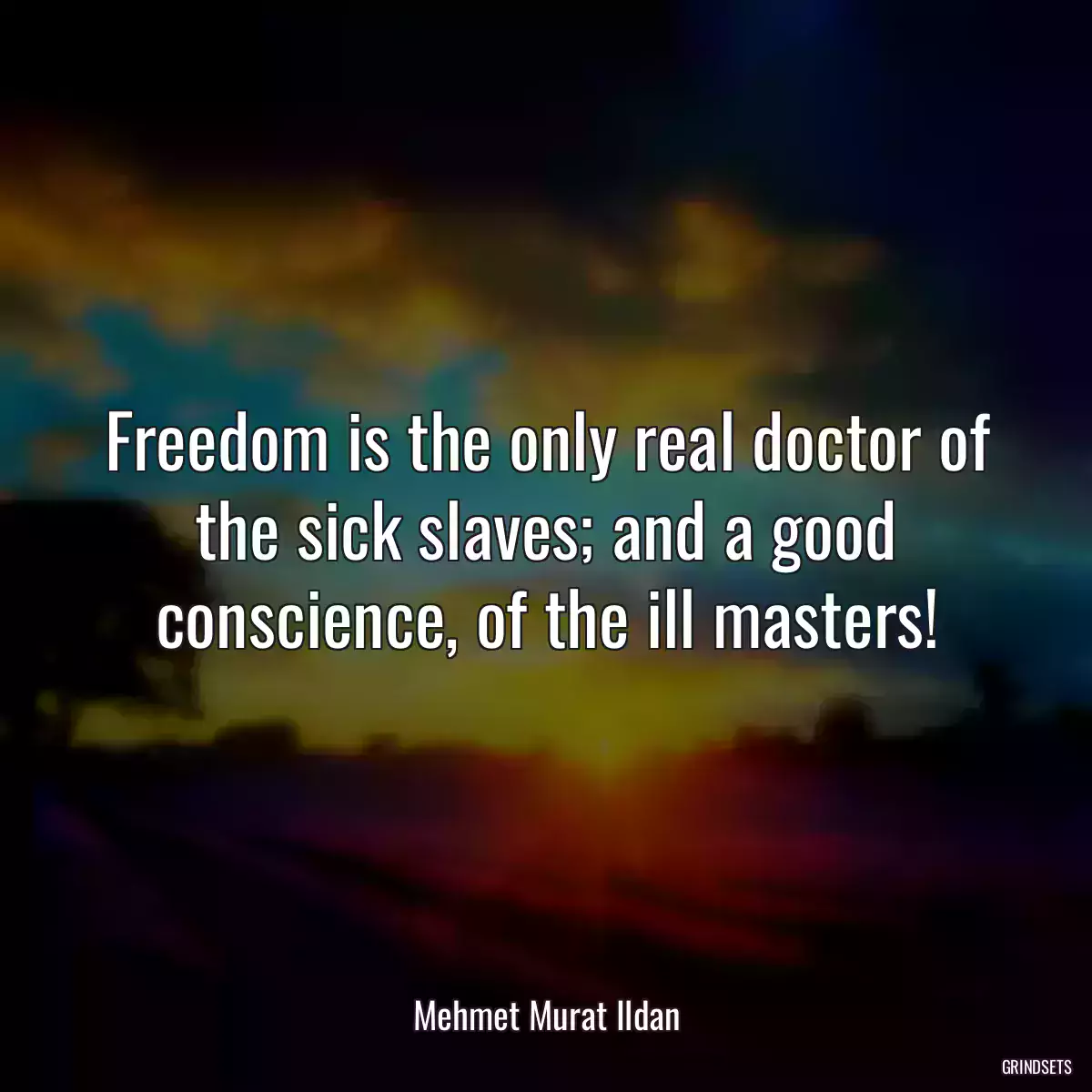 Freedom is the only real doctor of the sick slaves; and a good conscience, of the ill masters!