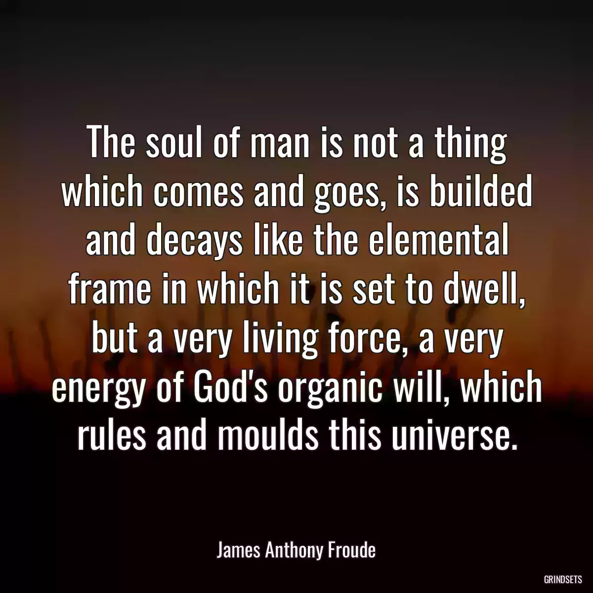 The soul of man is not a thing which comes and goes, is builded and decays like the elemental frame in which it is set to dwell, but a very living force, a very energy of God\'s organic will, which rules and moulds this universe.