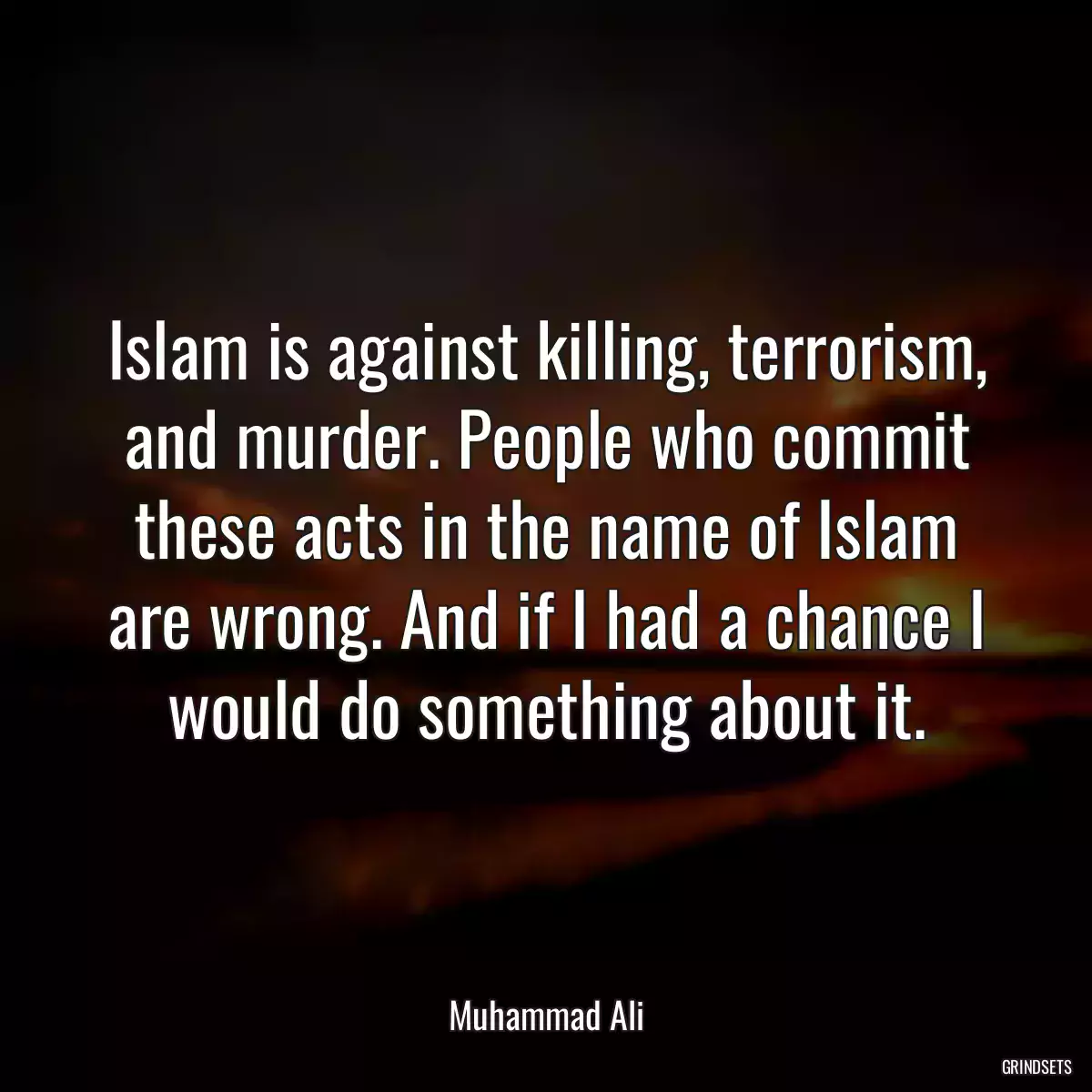 Islam is against killing, terrorism, and murder. People who commit these acts in the name of Islam are wrong. And if I had a chance I would do something about it.