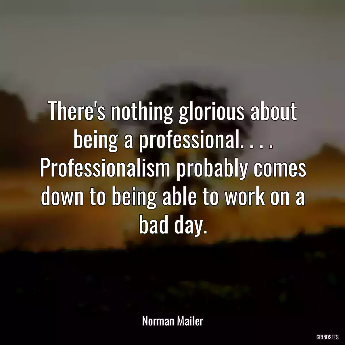 There\'s nothing glorious about being a professional. . . . Professionalism probably comes down to being able to work on a bad day.