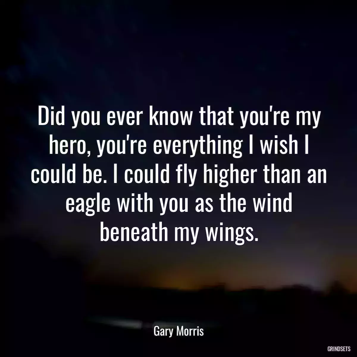 Did you ever know that you\'re my hero, you\'re everything I wish I could be. I could fly higher than an eagle with you as the wind beneath my wings.