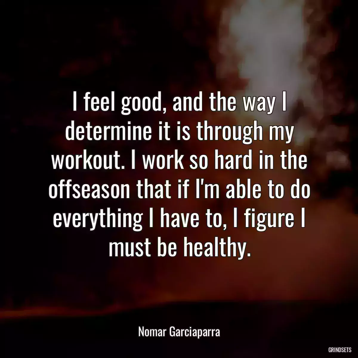 I feel good, and the way I determine it is through my workout. I work so hard in the offseason that if I\'m able to do everything I have to, I figure I must be healthy.