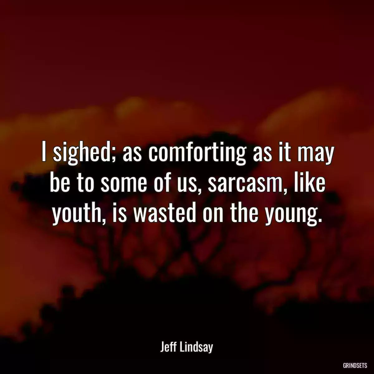 I sighed; as comforting as it may be to some of us, sarcasm, like youth, is wasted on the young.