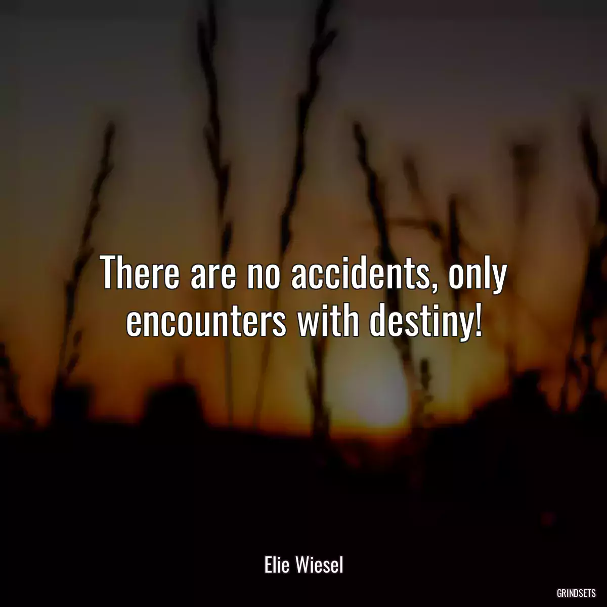 There are no accidents, only encounters with destiny!