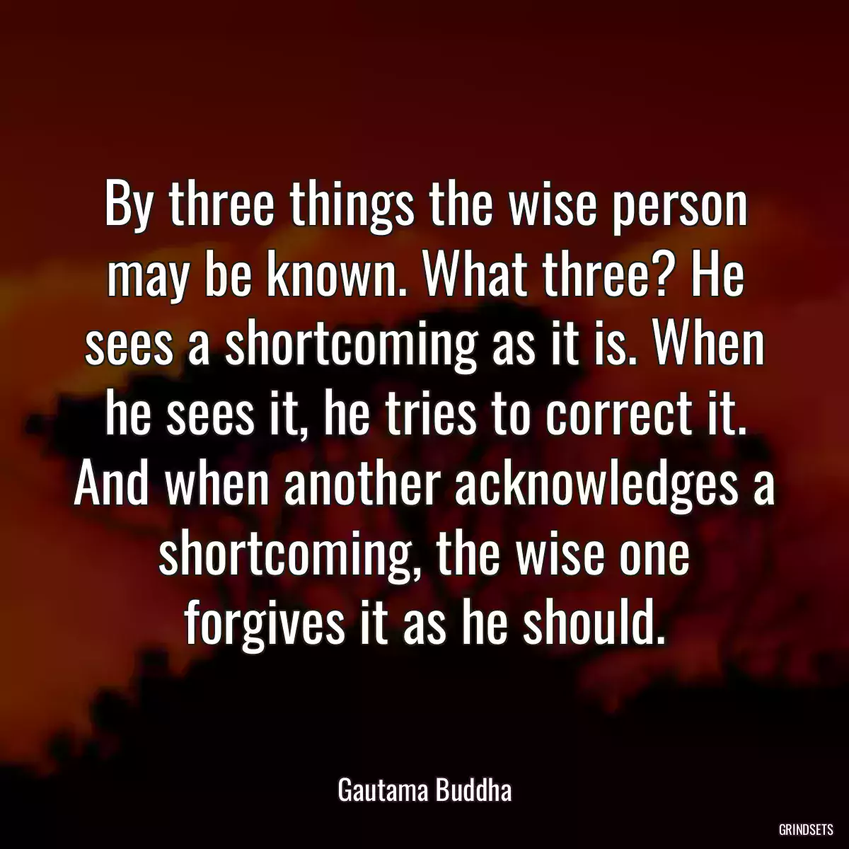 By three things the wise person may be known. What three? He sees a shortcoming as it is. When he sees it, he tries to correct it. And when another acknowledges a shortcoming, the wise one forgives it as he should.