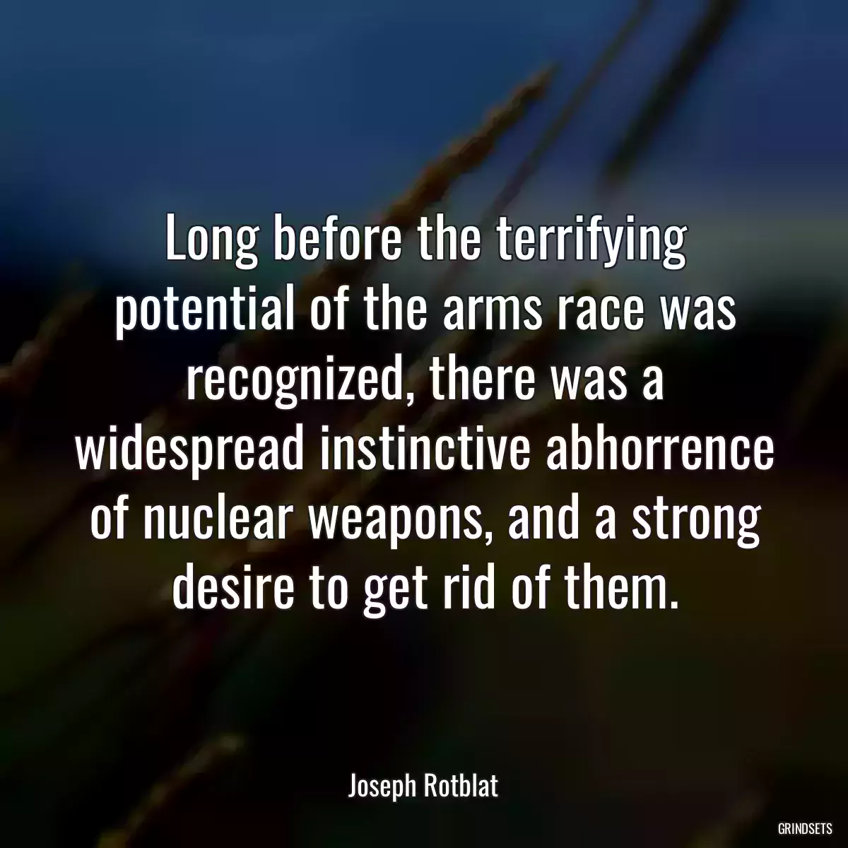 Long before the terrifying potential of the arms race was recognized, there was a widespread instinctive abhorrence of nuclear weapons, and a strong desire to get rid of them.