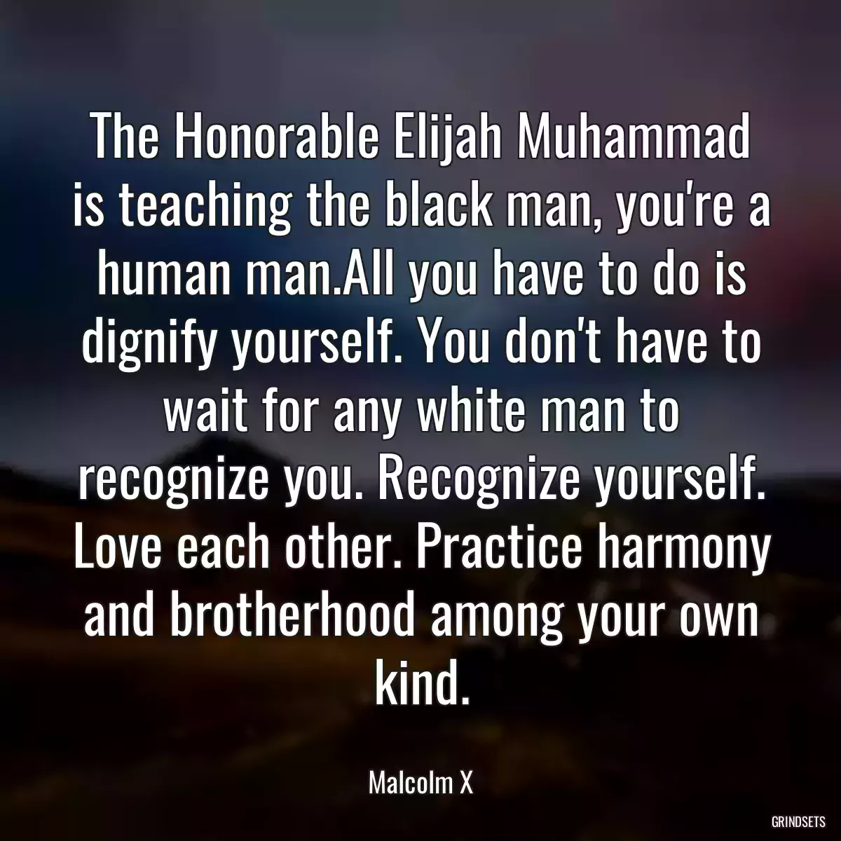 The Honorable Elijah Muhammad is teaching the black man, you\'re a human man.All you have to do is dignify yourself. You don\'t have to wait for any white man to recognize you. Recognize yourself. Love each other. Practice harmony and brotherhood among your own kind.