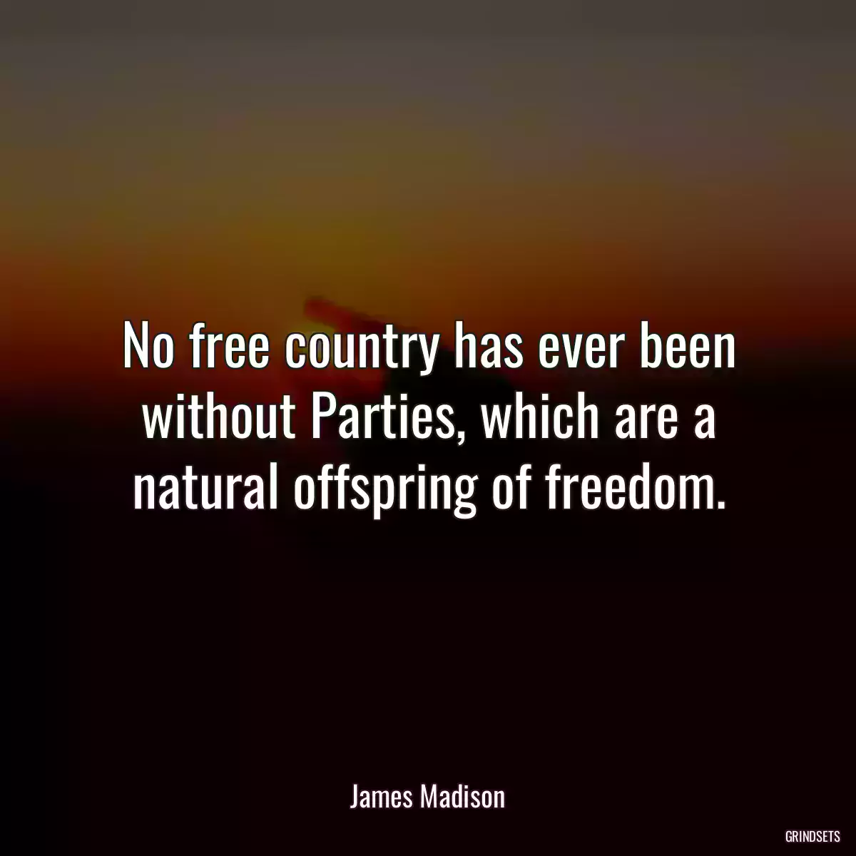 No free country has ever been without Parties, which are a natural offspring of freedom.