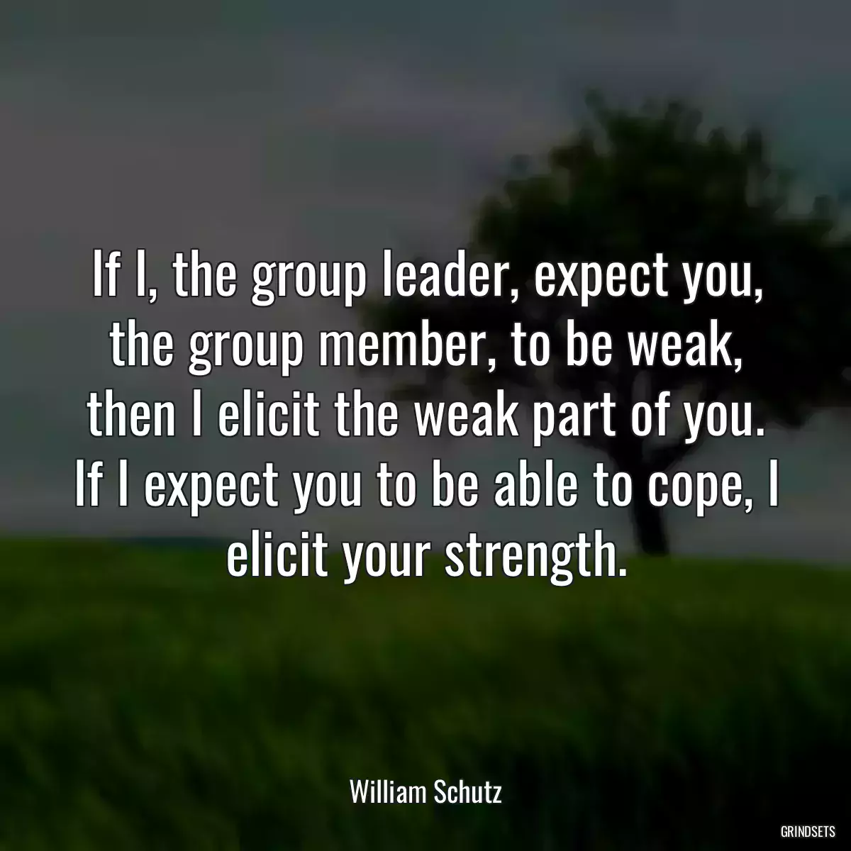 If I, the group leader, expect you, the group member, to be weak, then I elicit the weak part of you. If I expect you to be able to cope, I elicit your strength.