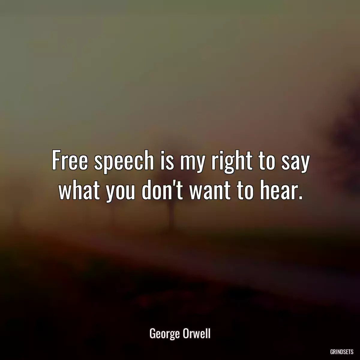 Free speech is my right to say what you don\'t want to hear.