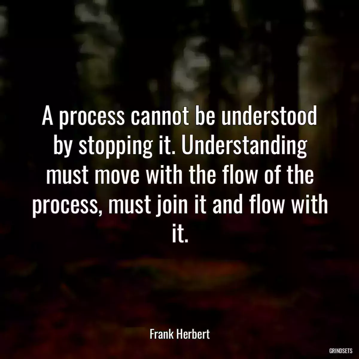 A process cannot be understood by stopping it. Understanding must move with the flow of the process, must join it and flow with it.