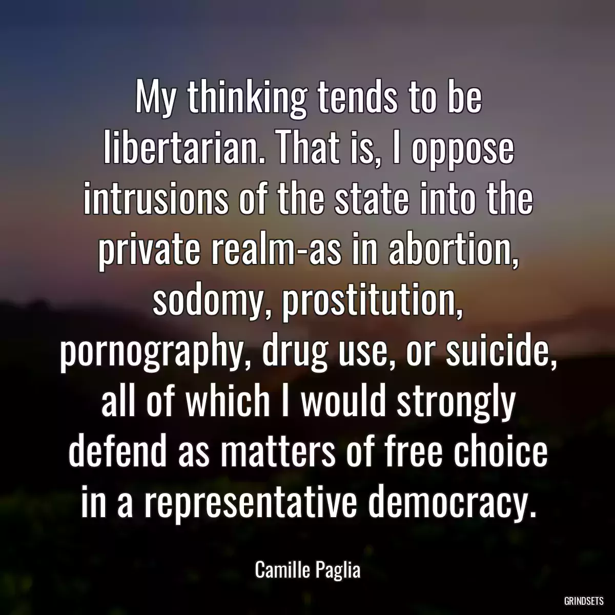 My thinking tends to be libertarian. That is, I oppose intrusions of the state into the private realm-as in abortion, sodomy, prostitution, pornography, drug use, or suicide, all of which I would strongly defend as matters of free choice in a representative democracy.